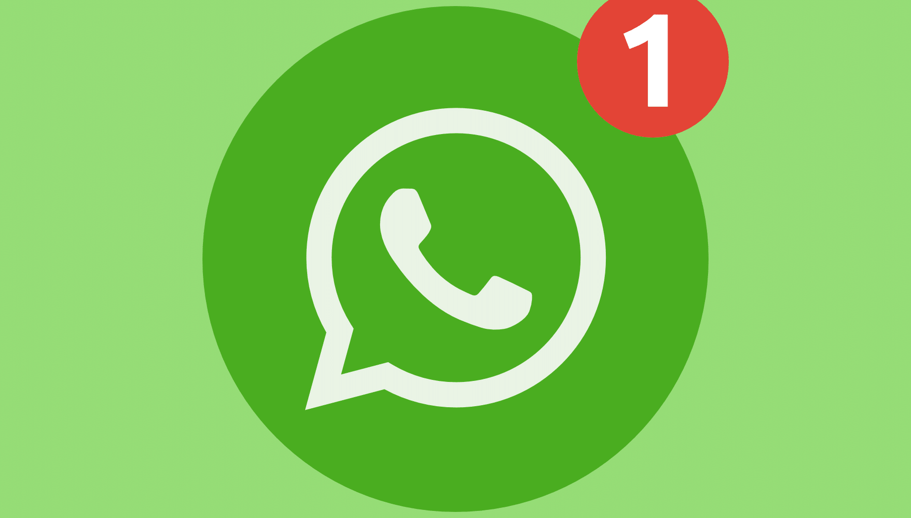 France WhatsApp filtering system